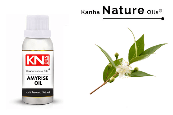 AMYRISE OIL