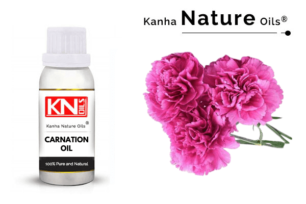 CARNATION OIL KANHA NATURE OILS Manufacturer of essential oils