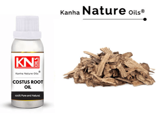 COSTUS ROOT OIL