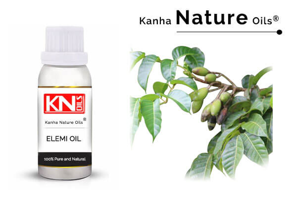 LILAC OIL - KANHA NATURE OILS (Essential oil manufacturer, DELHI)