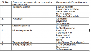 major constituents of lavender oil