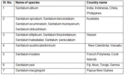 14 species of sandalwood